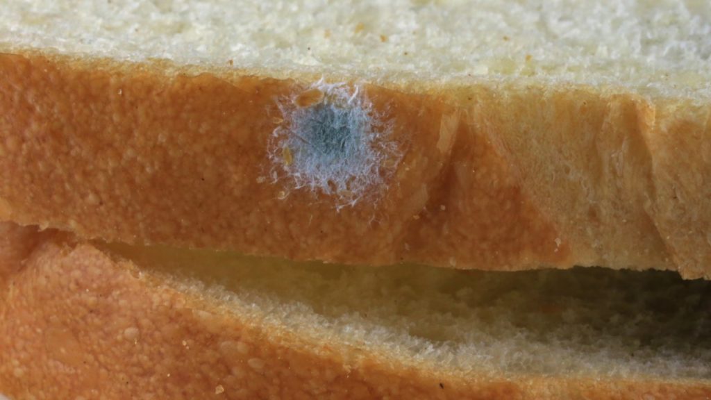 Avoid Bread